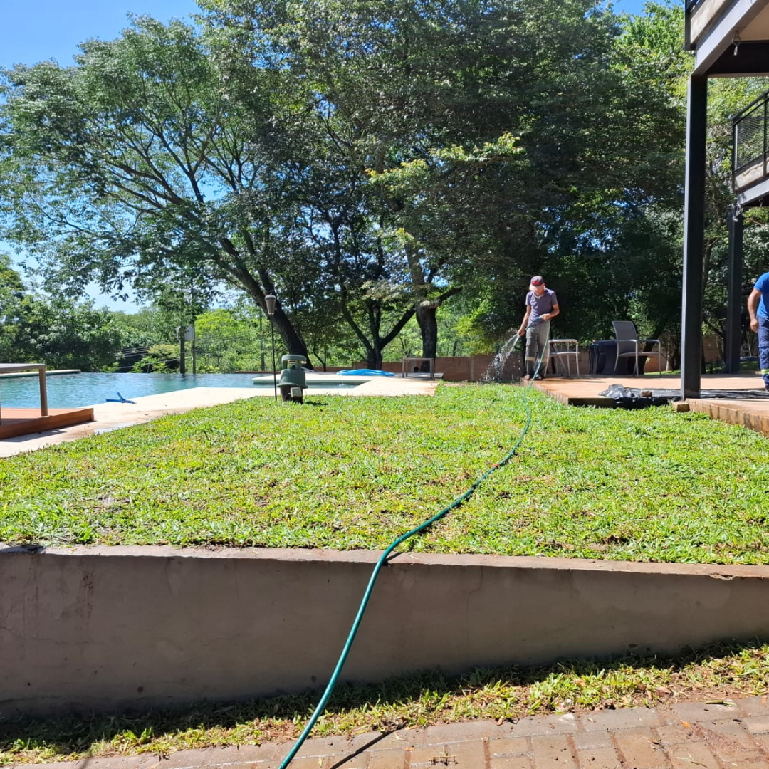 🌿 Transformá tu jardín con pasto siempre verde 🌿