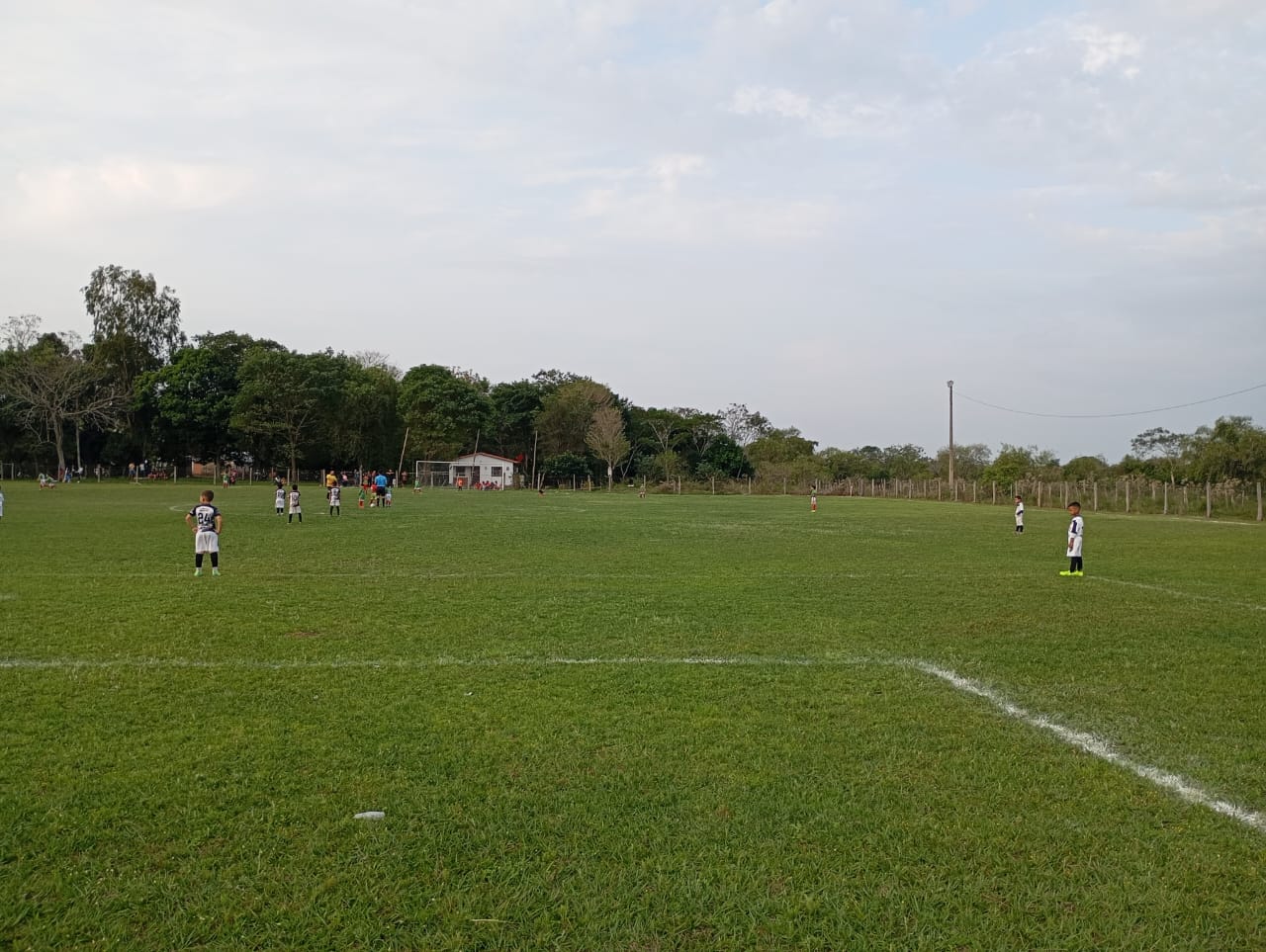 🌱 Cancha Verde y Lista para Jugar ⚽