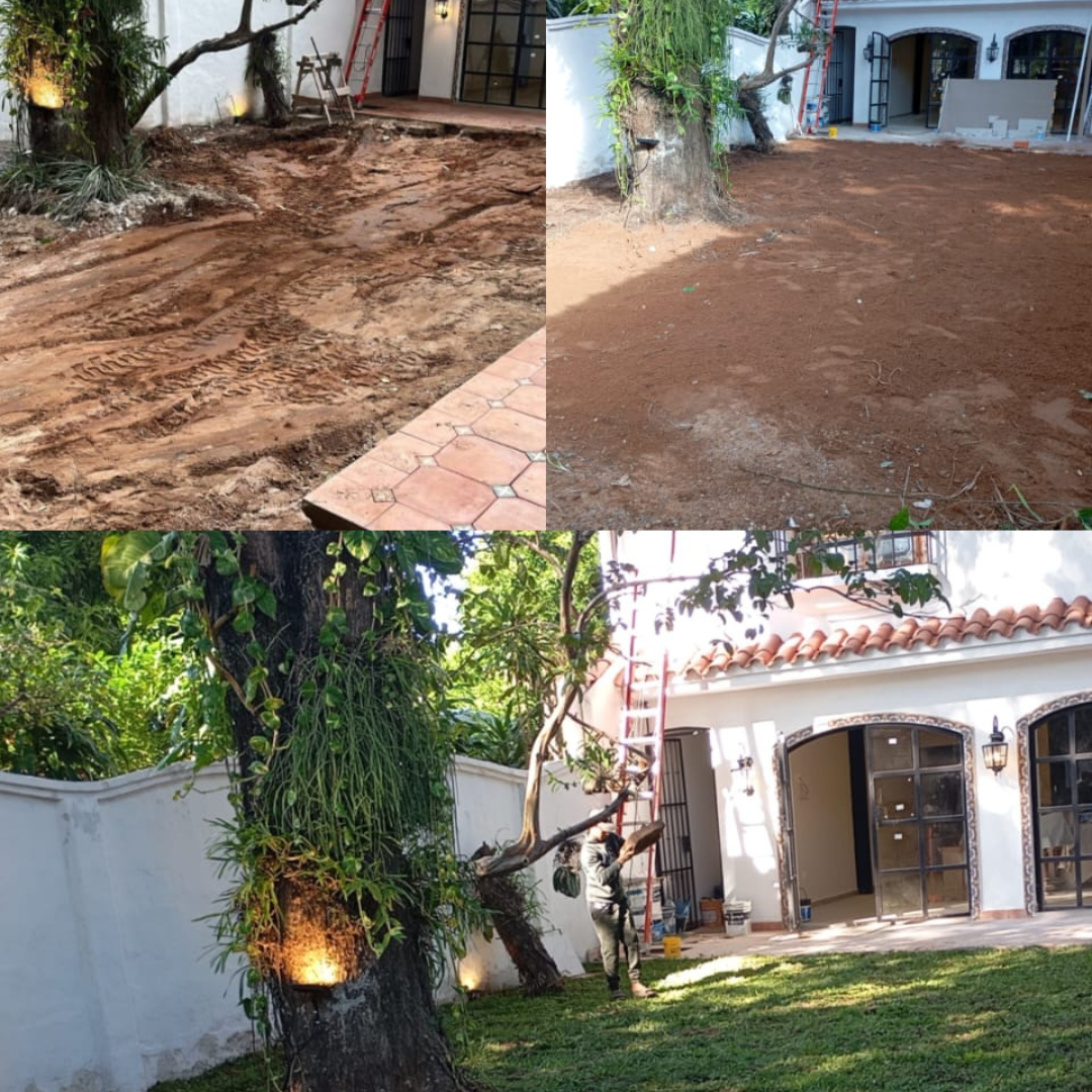 🌿 Jardinería y Empastado – Antes y Después 🌱
