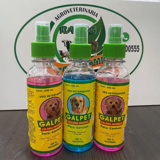 GALPET – Colonia para Caninos