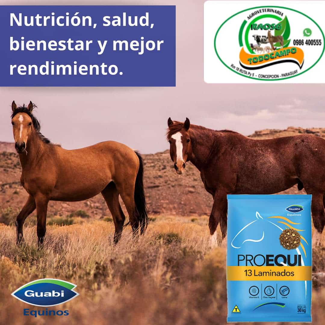 PROEQUI 13 Laminados – Guabi Equinos