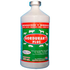 GORDURA T-PLUS