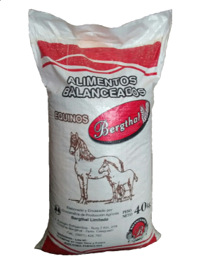 EQUINO DE CARRERA (BERTHAL)