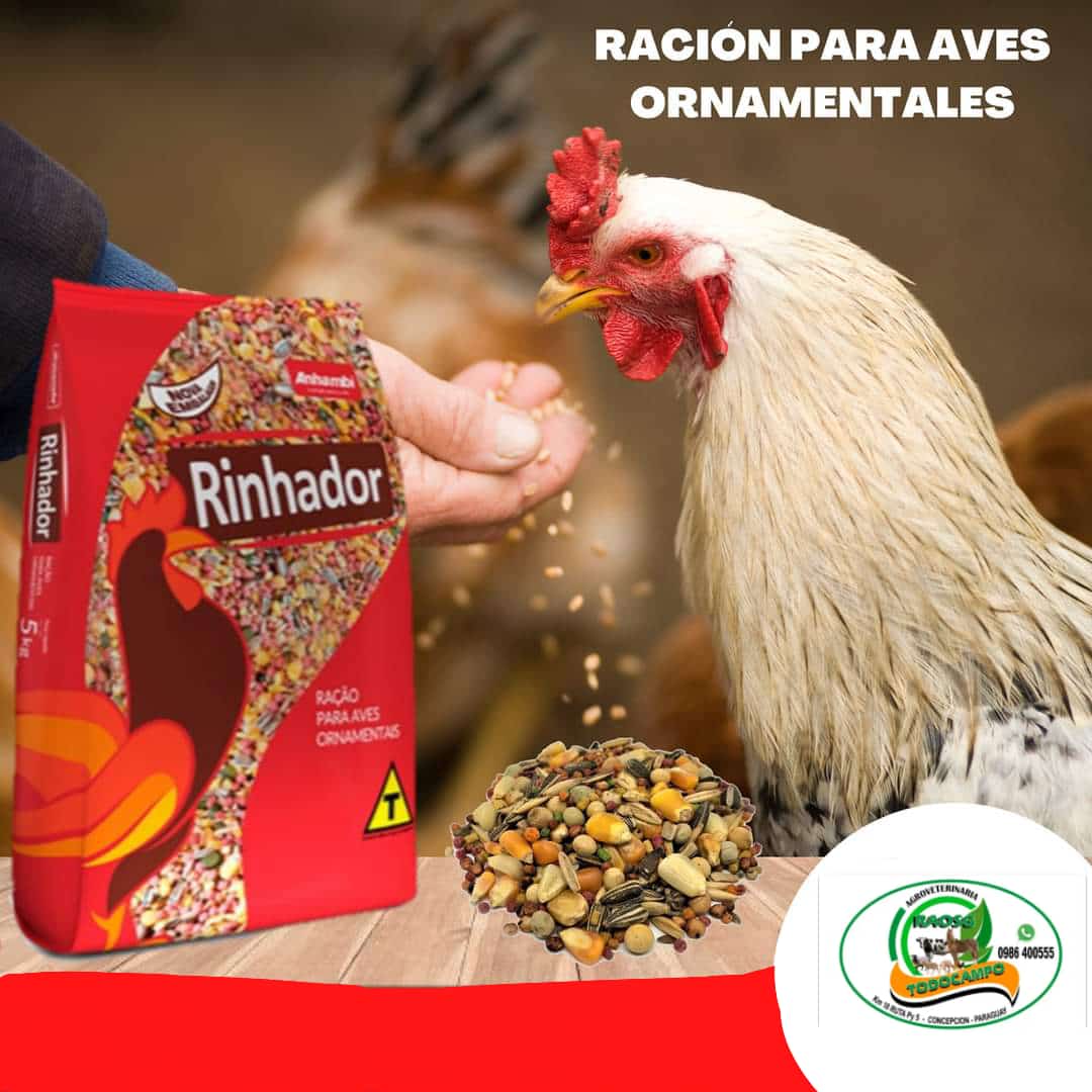 Rinhador – Ración para Aves Ornamentales