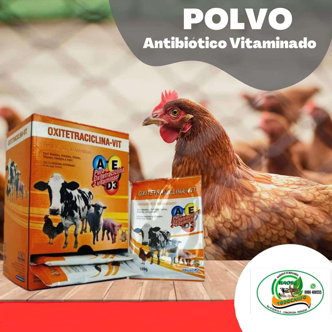 OXITETRACICLINA-VIT – Polvo Antibiótico Vitaminado