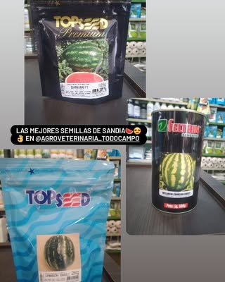 Semillas de Sandía – Alta Calidad y Producción