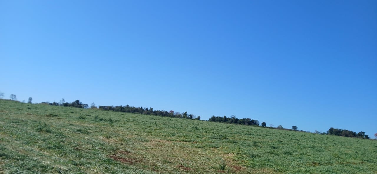 EN DEPARTAMRNTO GUAIRA TIERRA DE 53 HECTAREAS.TITULADO IMPUESTO AL DIA A TRANSFERIR