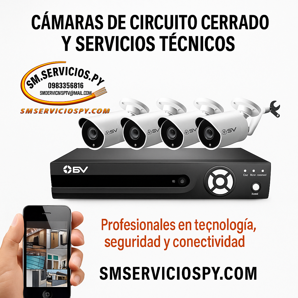 Servicios profesionales en tecnología, seguridad y conectividad