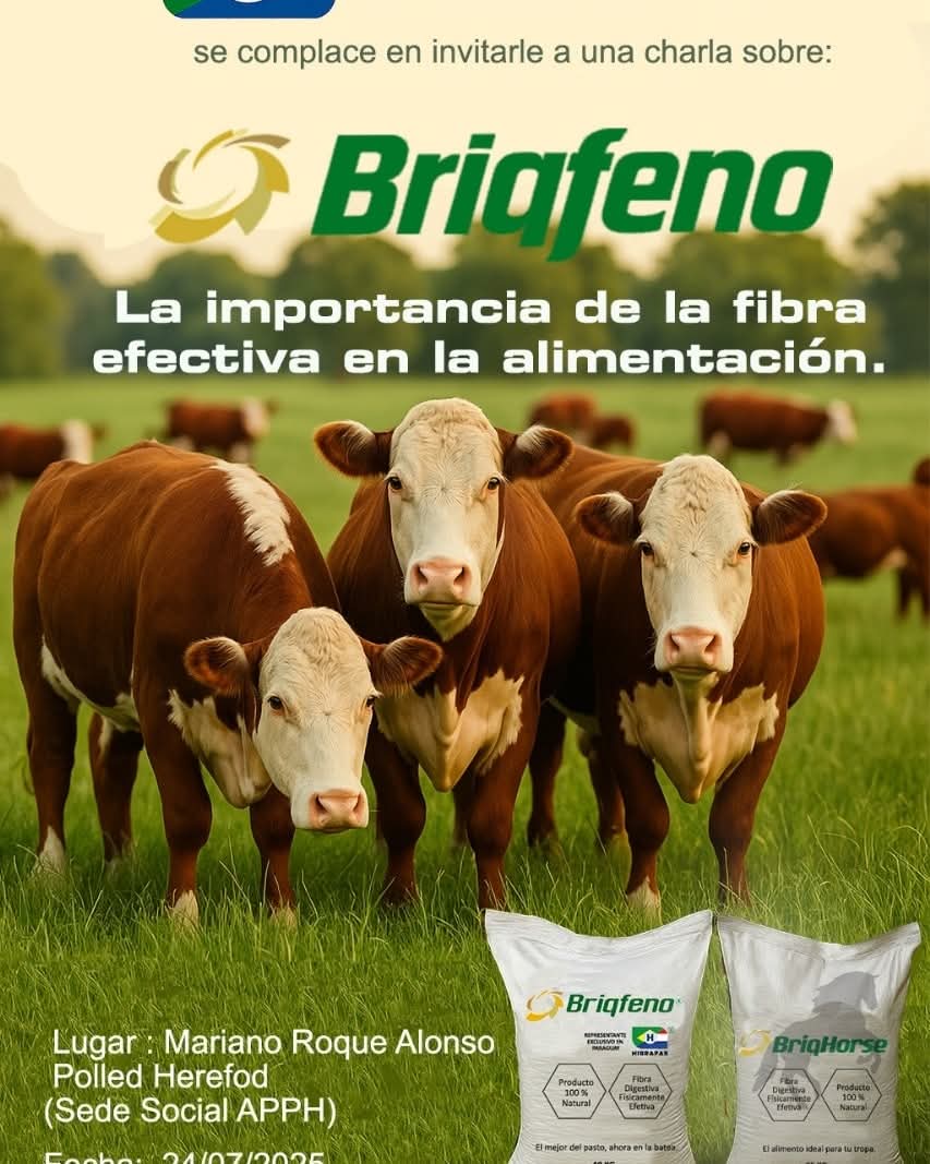 Briadremo