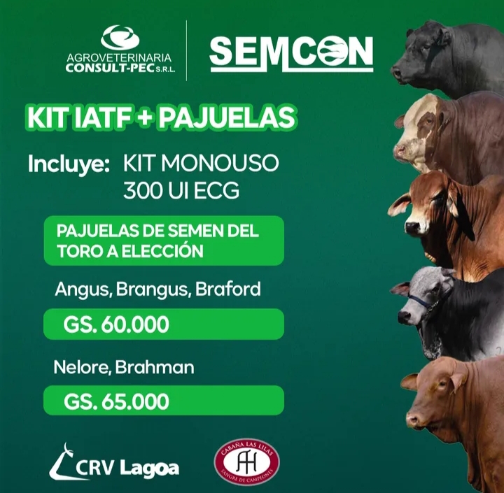 Kit monouso 300 ui ECG