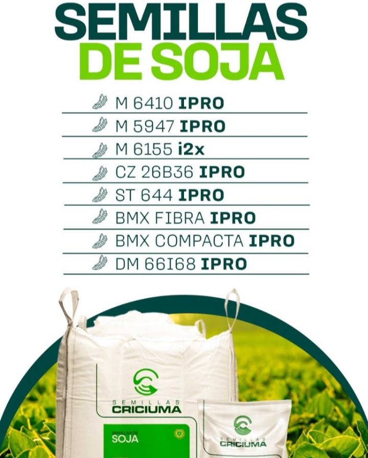 Semillas de soja