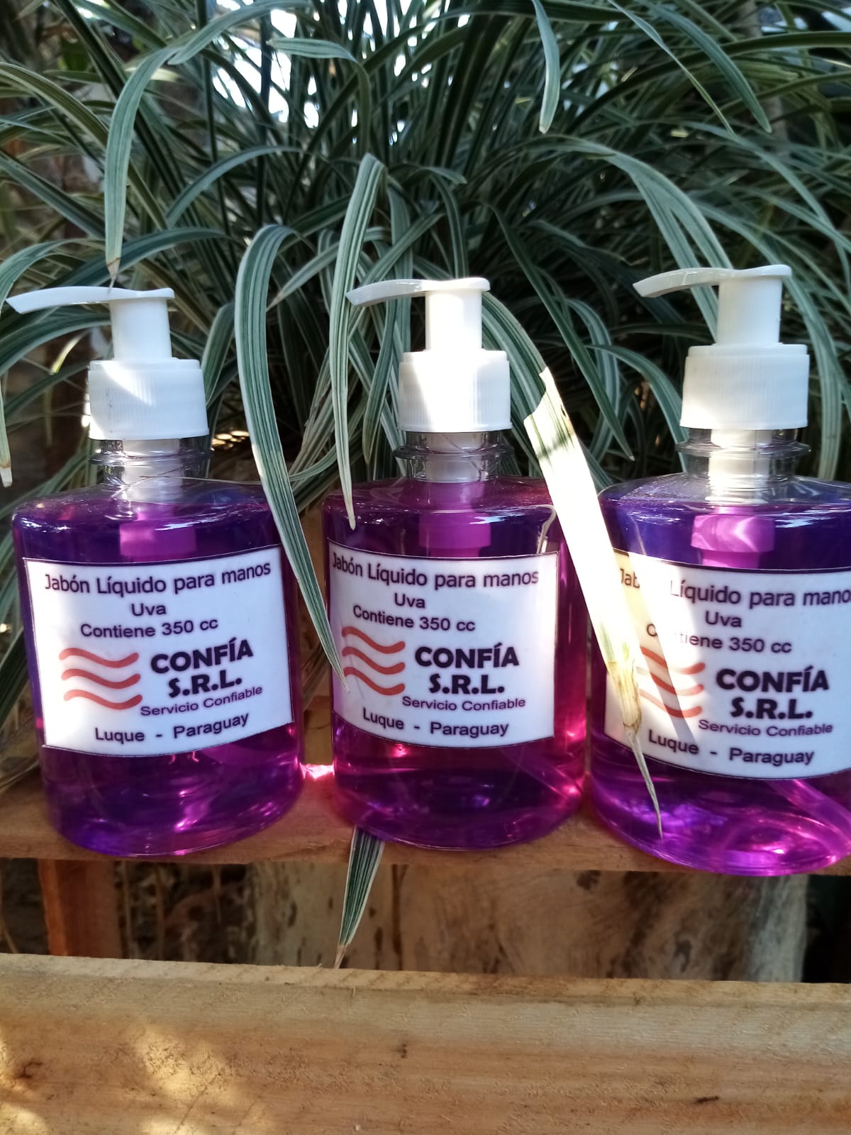 JABON LIQUIDO PARA MANOS UVA