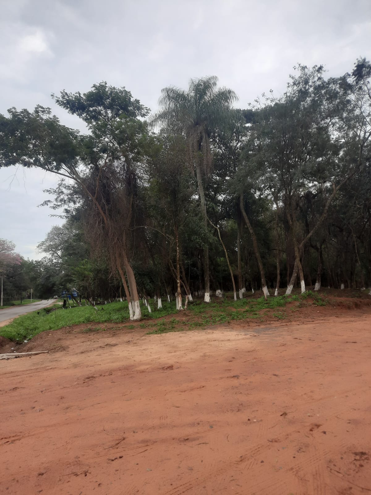 Vendo lotes a cuotas corridas en Ypacarai
