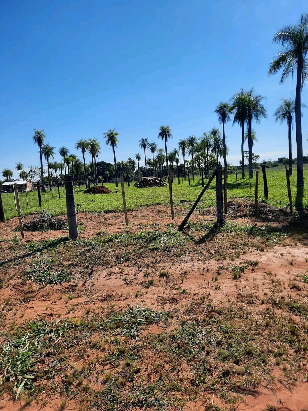 Vendo este hermoso lotes a cuotas corridas en Itauguá