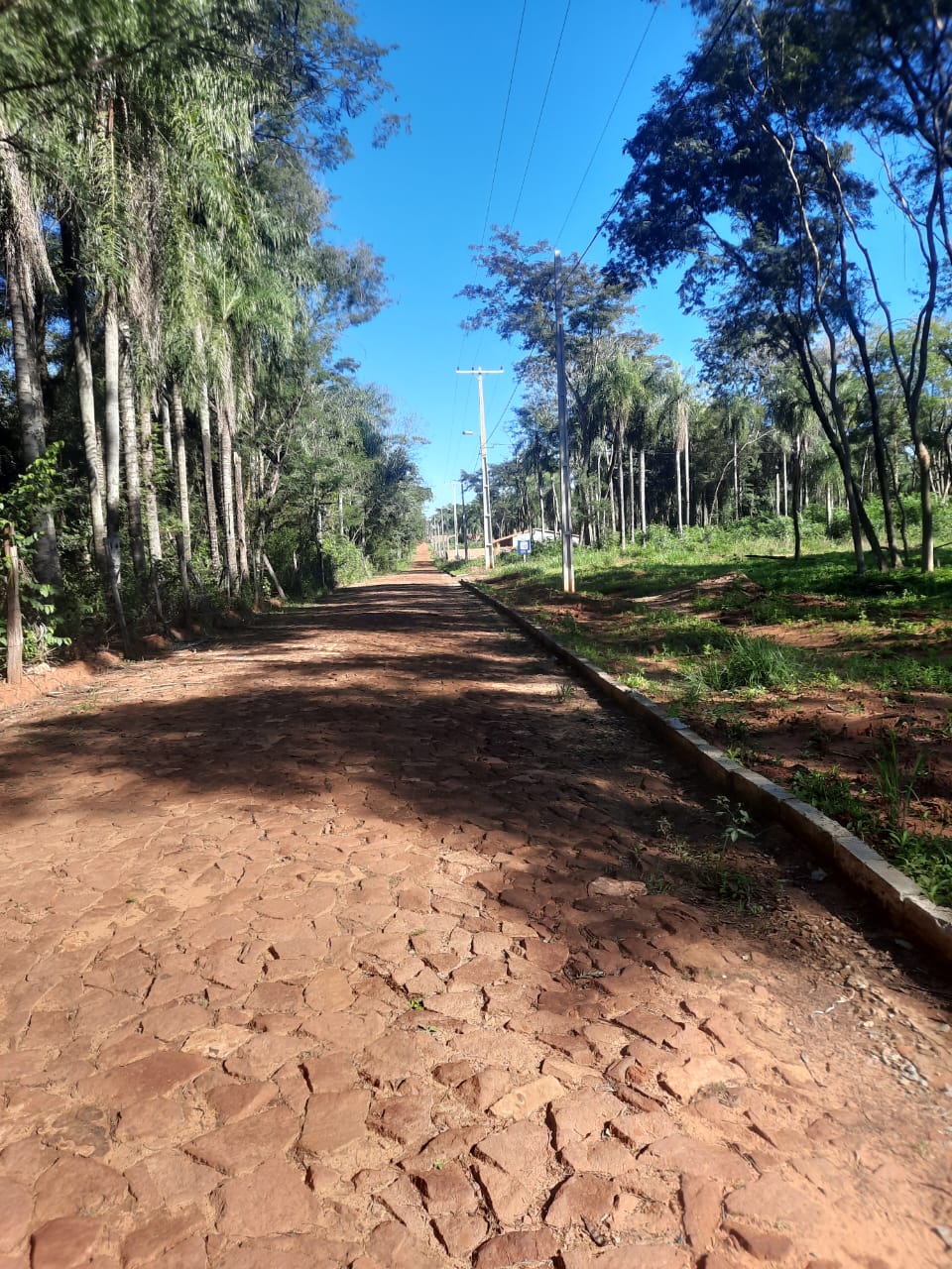 Vendo hermoso lotes a cuotas corridas en Itauguá