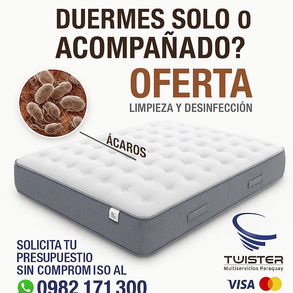 Lavado y desinfeccion con vapor de somier