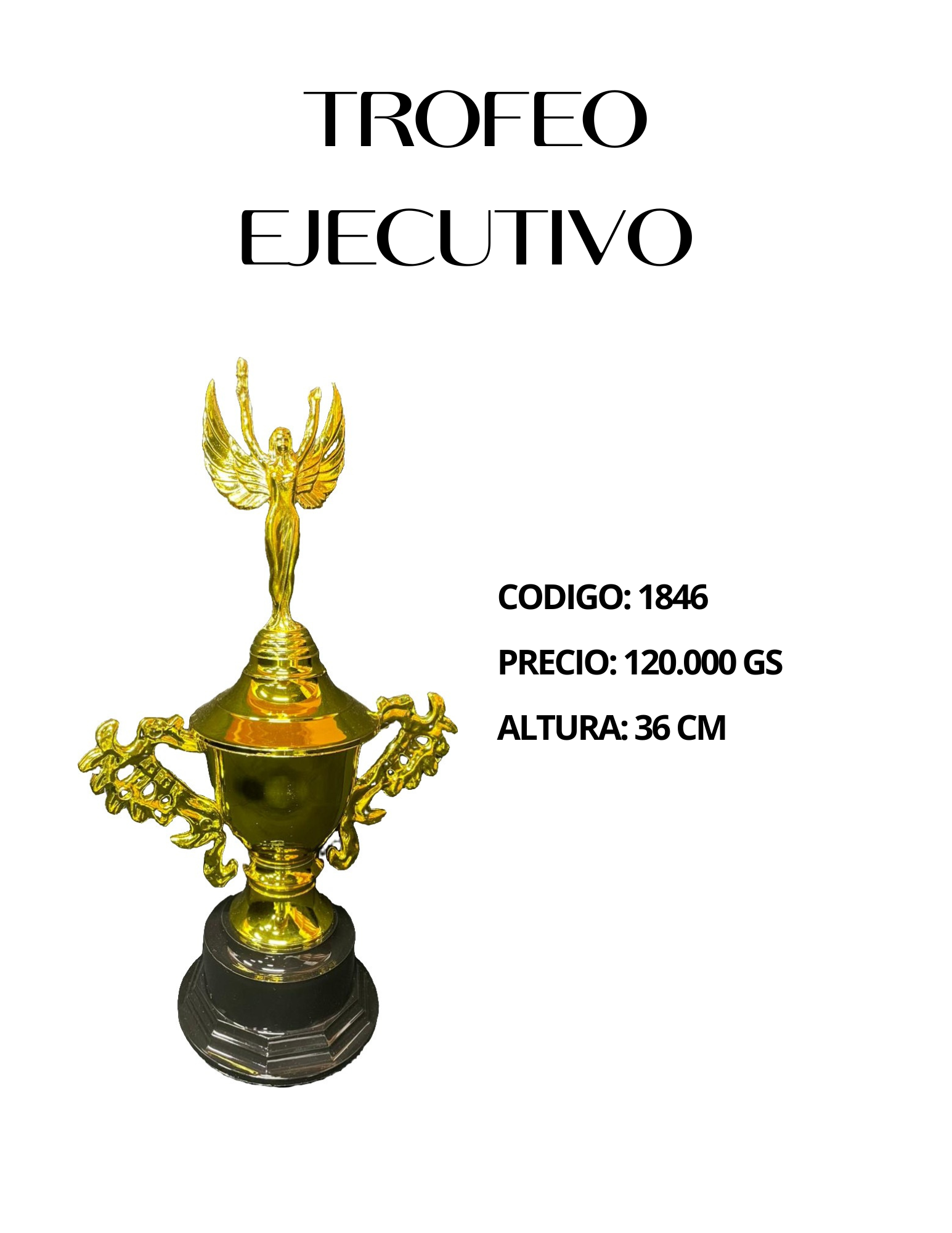 Trofeo Ejecutivo