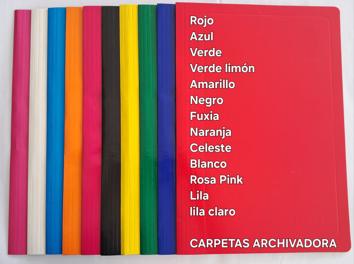 Carpeta archivadora