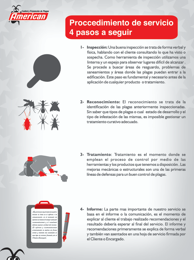 Procedimientos de servicios 4 pasos al seguir