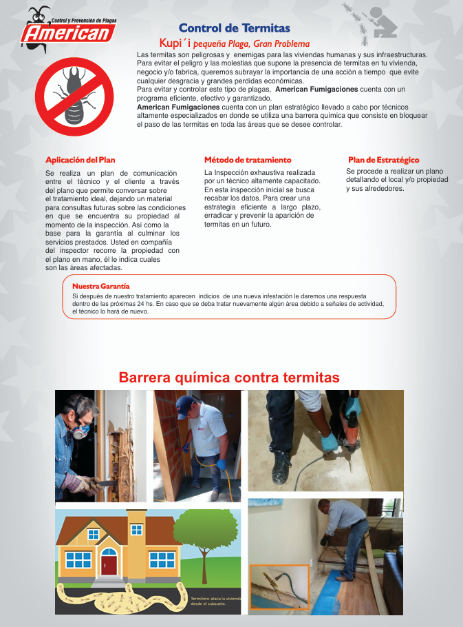 control de termitas