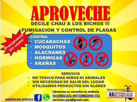 fumigación y control de plagas