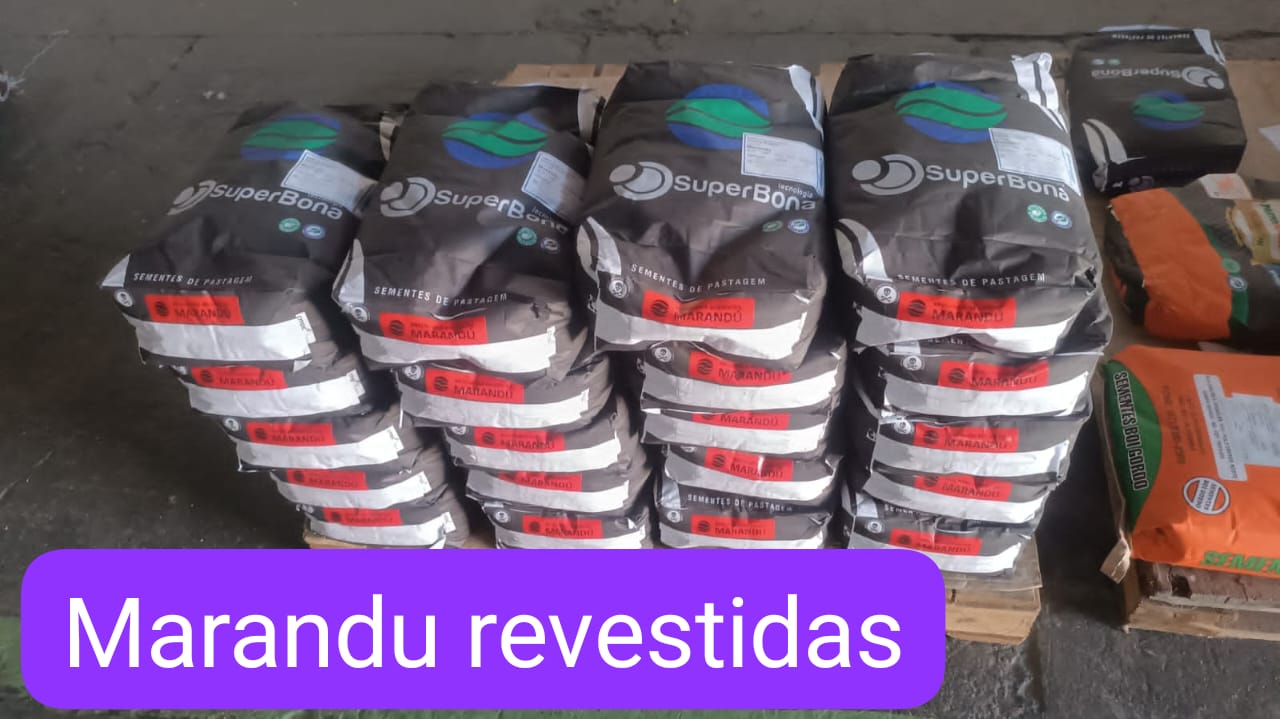 Marandu Revestidas