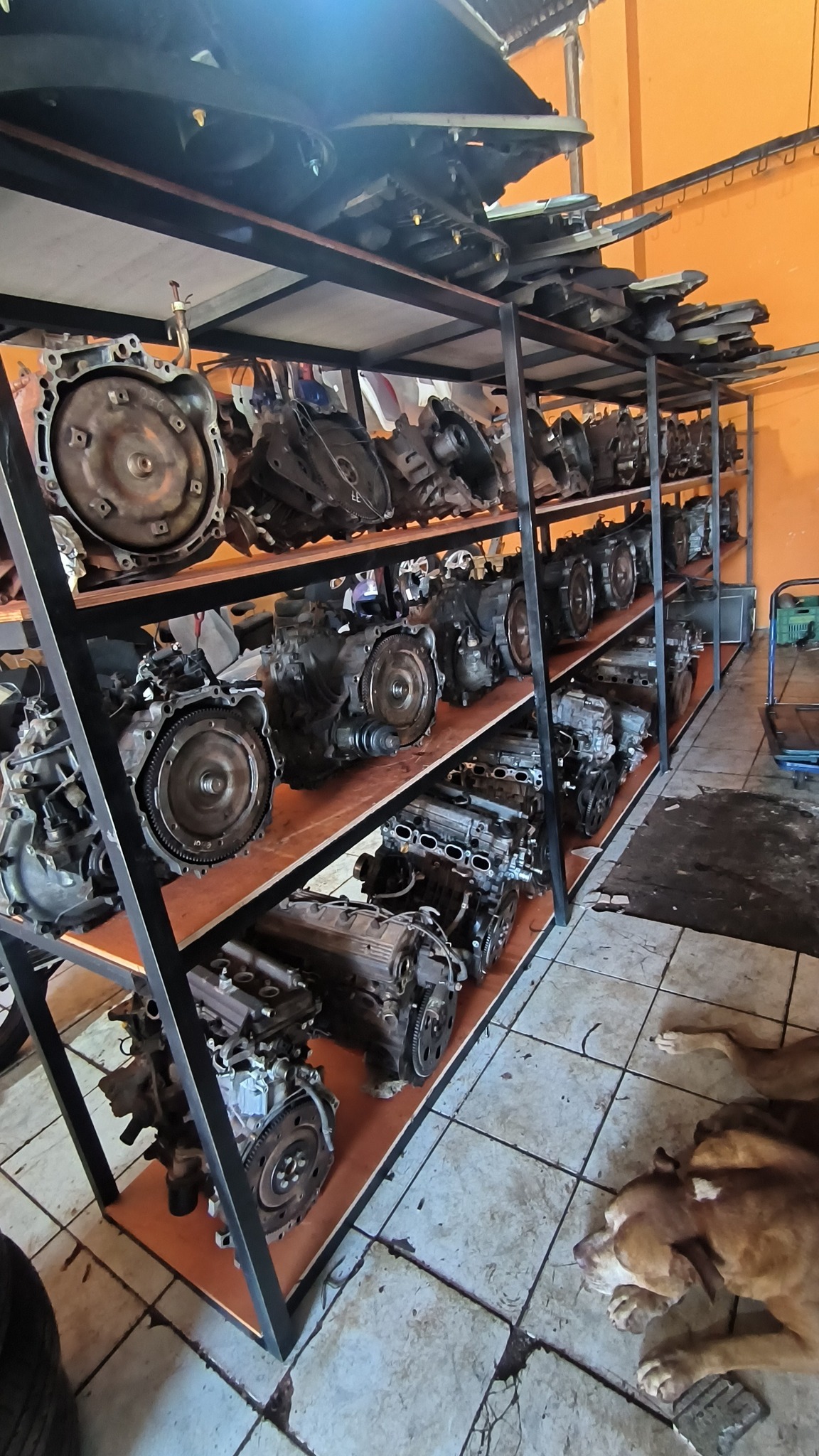 Motores y Cajas Disponibles – Amplia Variedad 🚗