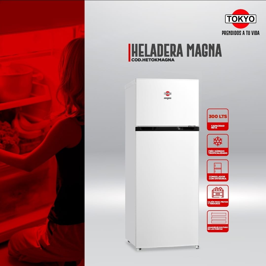 🧊 Heladera Tokyo Magna – 300 Litros de capacidad y frescura total ❄️