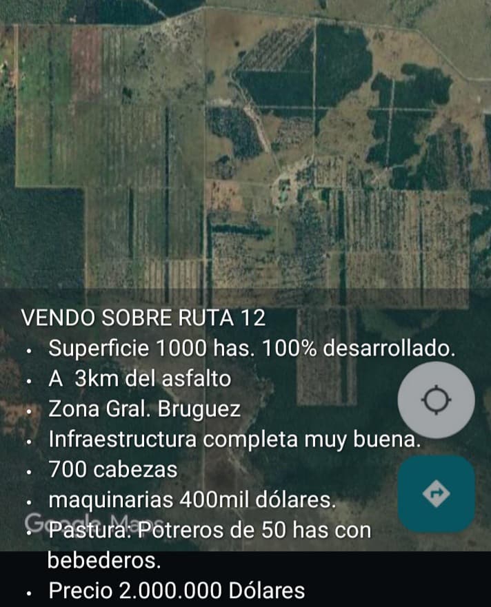 🏞️ Estancia en Venta – Ruta 12 | 1000 Has totalmente desarrolladas