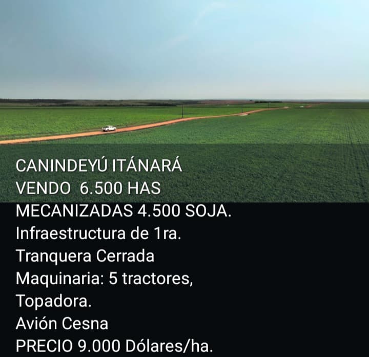 🌾 Campo Agrícola en Venta – Itanarã, Canindeyú | 6.500 Hectáreas