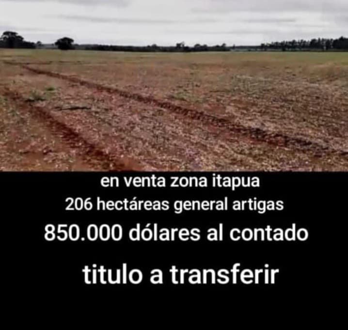 🌾 Propiedad Agrícola en Venta – Itapúa, General Artigas | 206 Hectáreas