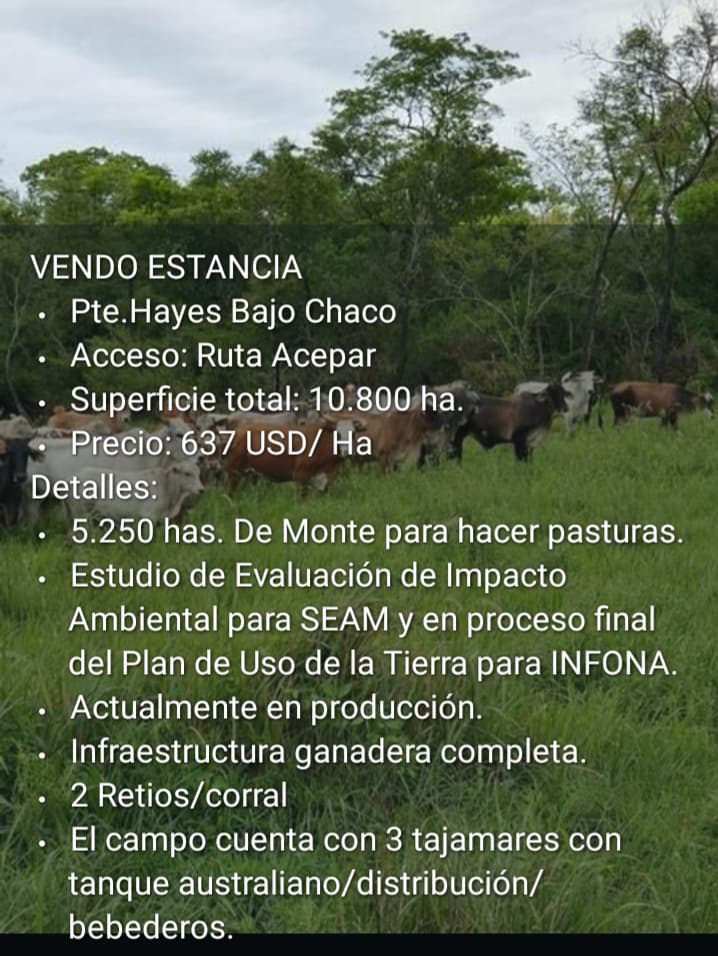 🏞️ Estancia en Venta – Pte. Hayes, Bajo Chaco | 10.800 Hectáreas