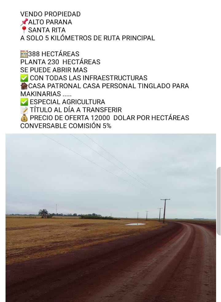 🌾 Propiedad Agrícola en Venta – Santa Rita, Alto Paraná | 388 Hectáreas