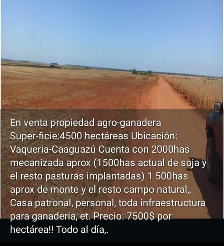 🌾 Propiedad Agro-Ganadera en Venta – Vaquería, Caaguazú | 4.500 Hectáreas