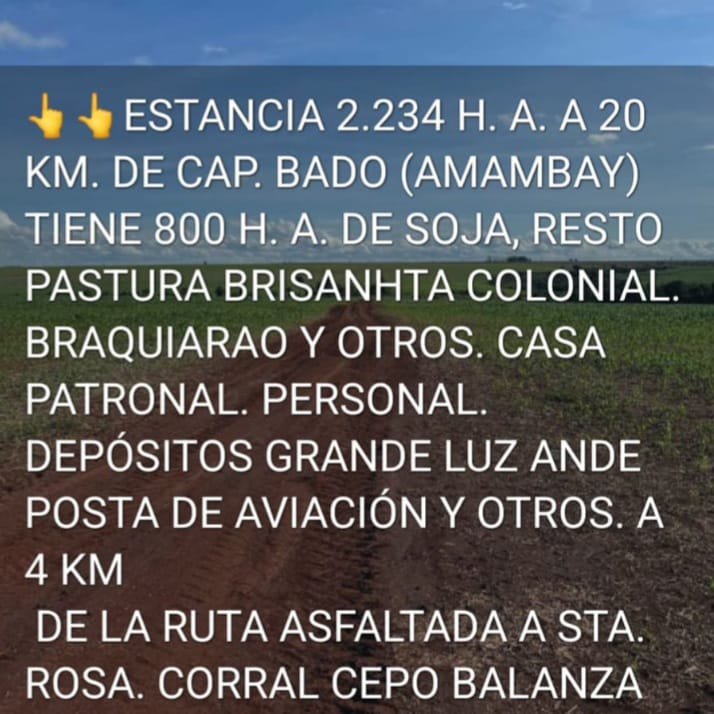 🏞️ Estancia en Venta – Amambay, Cerca de Capitán Bado | 2.234 Hectáreas