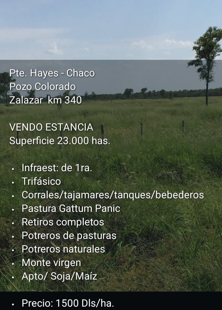 🏞️ Estancia en Venta – Pozo Colorado, Pte. Hayes (Chaco) | 23.000 Has