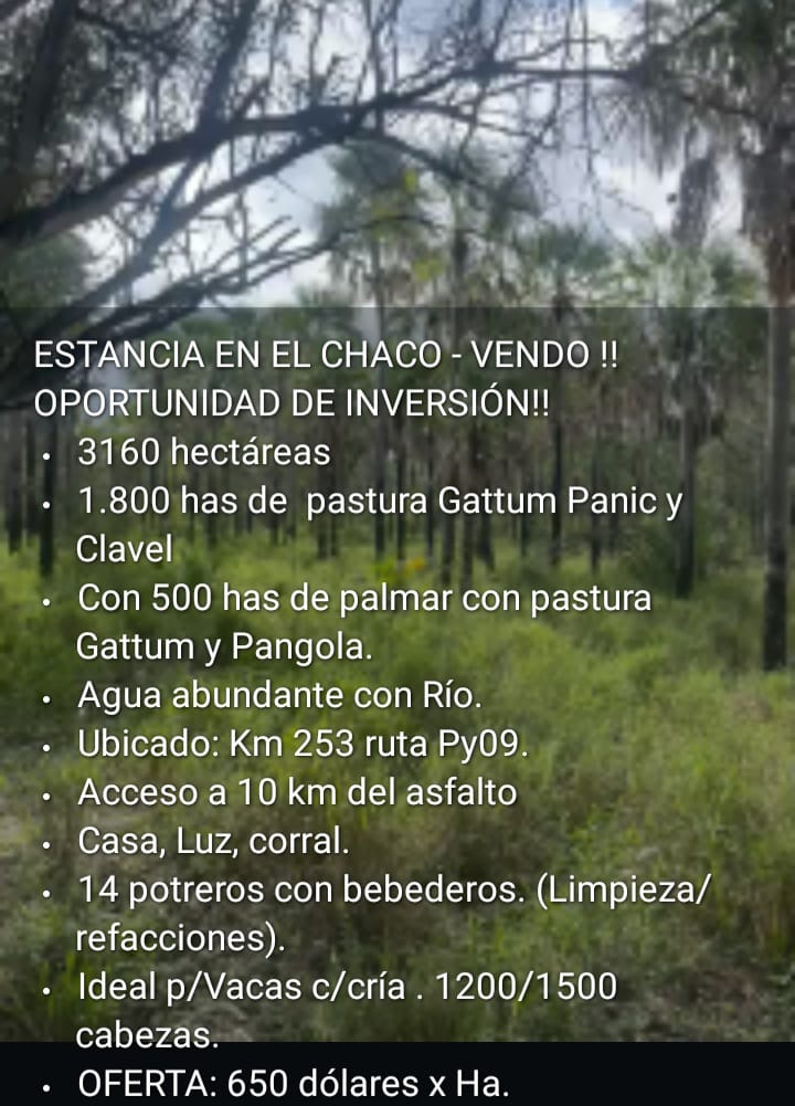 🏞️ Estancia en Venta – Chaco Paraguayo | 3.160 Hectáreas | Oportunidad de Inversión