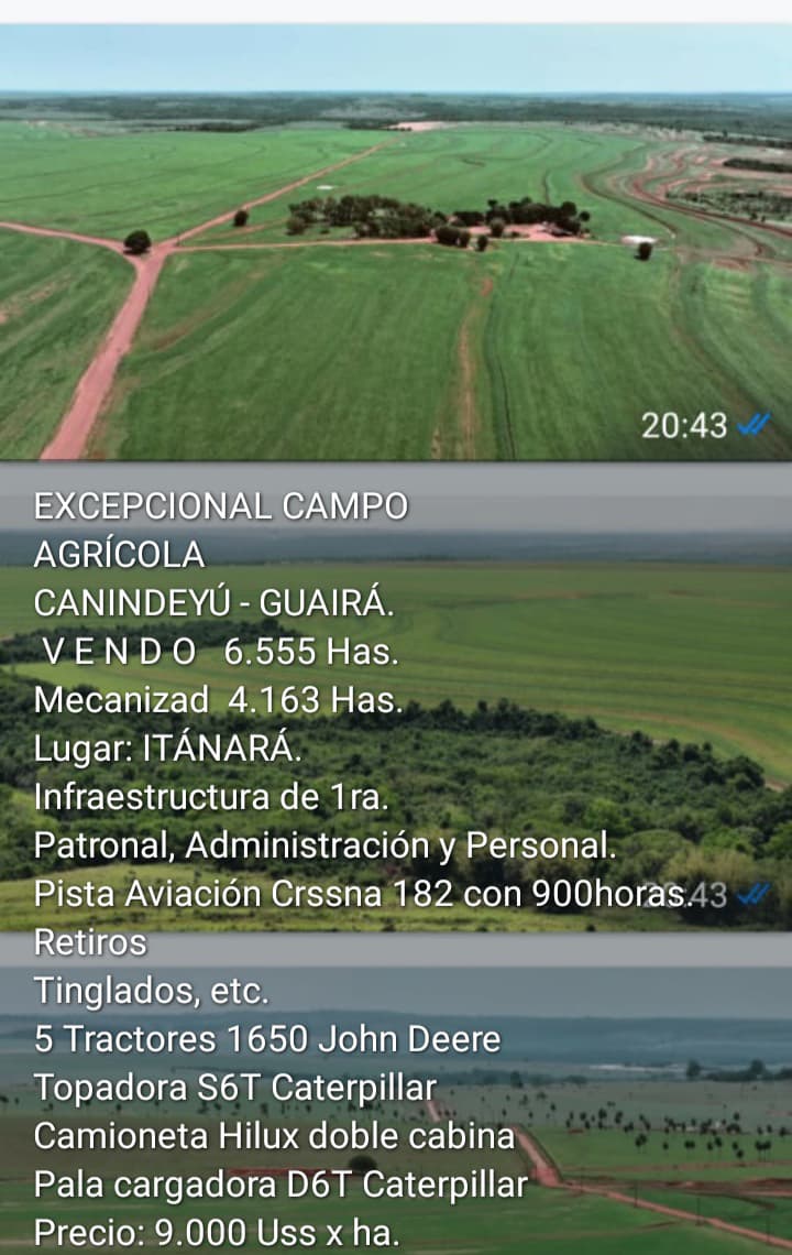 🏞️ Excepcional Campo Agrícola en Venta – Canindeyú / Guairá
