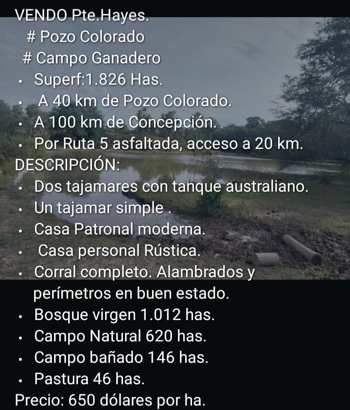 🏞️ Campo Ganadero en Venta – Pte. Hayes, Pozo Colorado | 1.826 Hectáreas