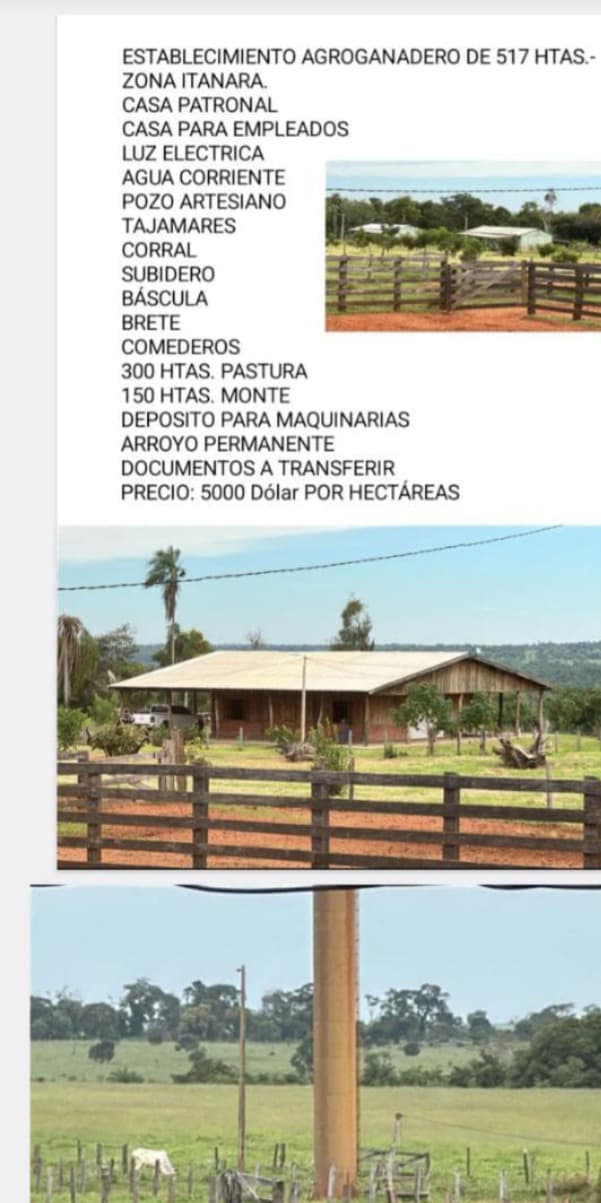 🏡 Establecimiento Agroganadero en Venta – Itanara | 517 Hectáreas