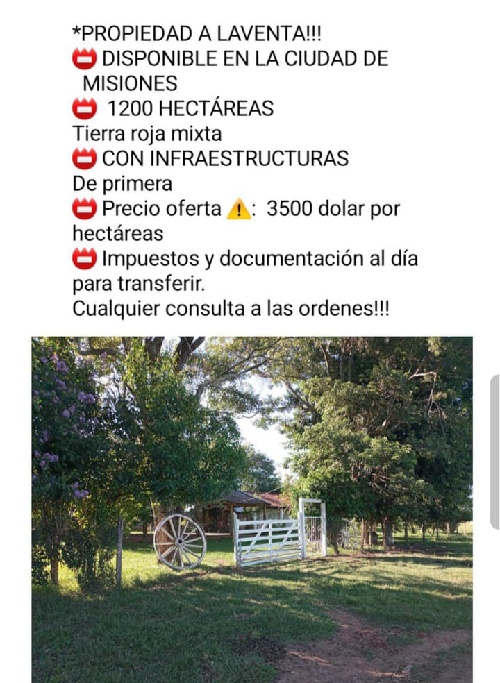 🌾 Propiedad en Venta – Misiones | 1.200 Hectáreas