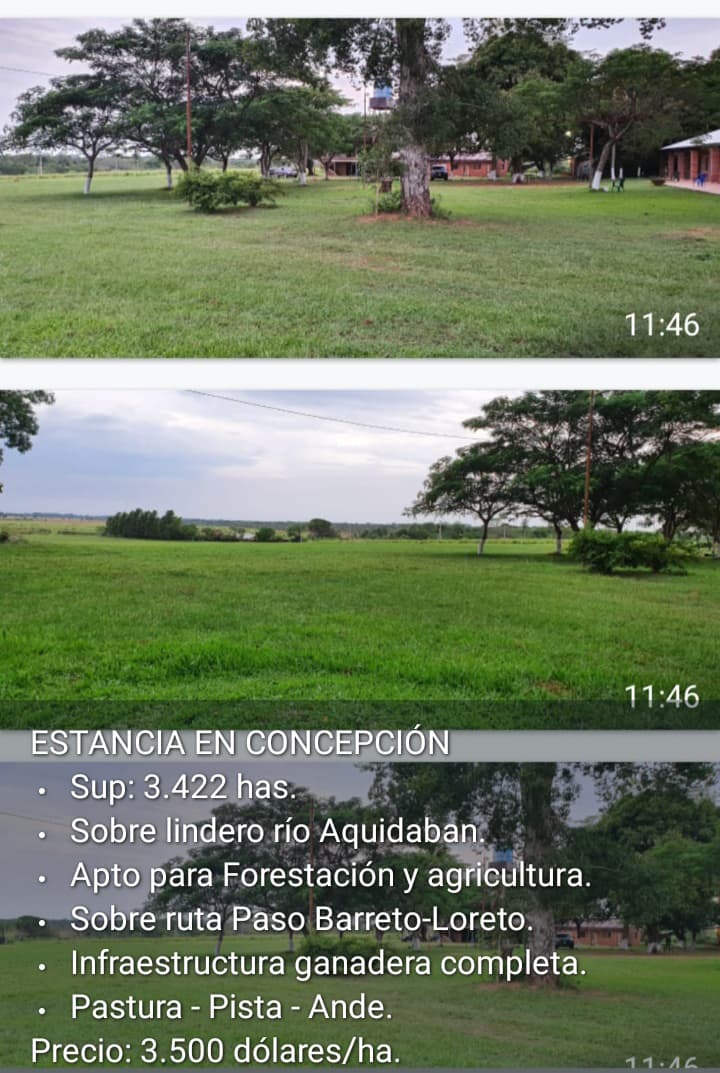 🏞️ Estancia en Venta – Concepción | 3.422 Hectáreas