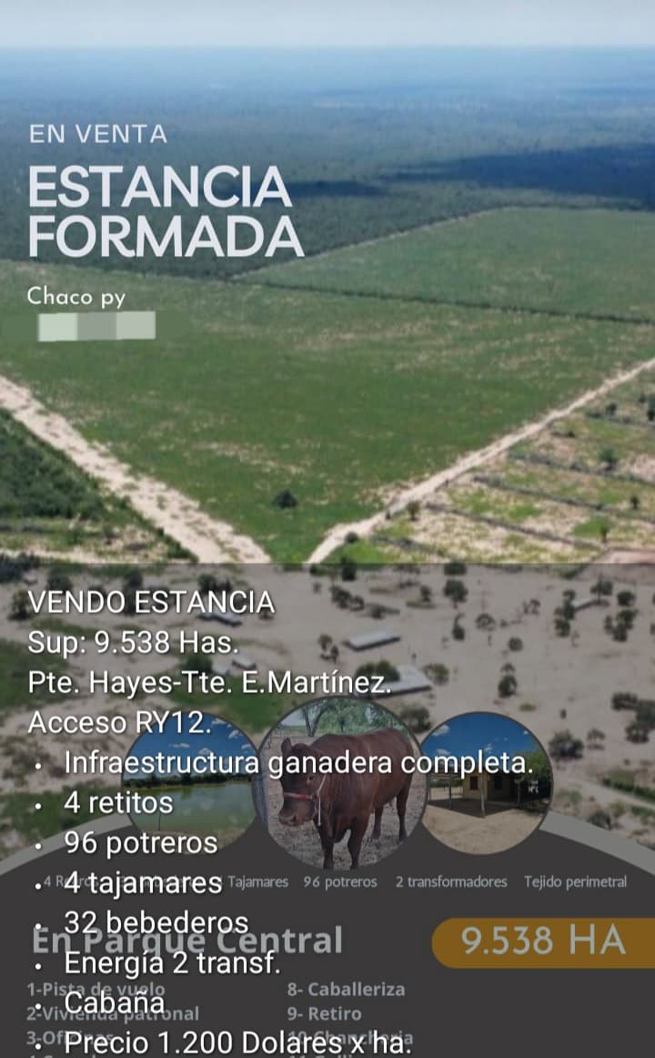 🏞️ Estancia Formada en Venta – Pte. Hayes / Teniente Esteban Martínez | 9.538 Hectáreas