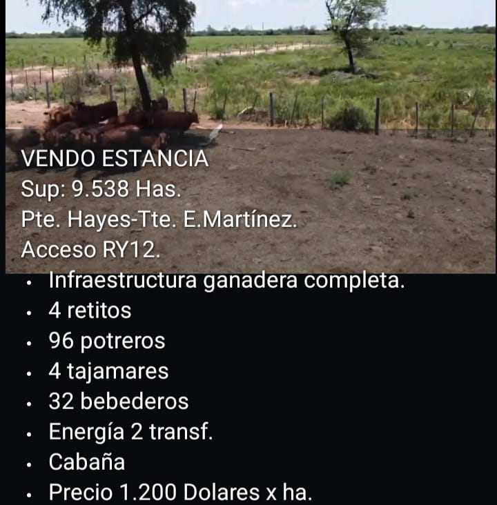 🏞️ Estancia Formada en Venta – Pte. Hayes / Teniente E. Martínez | 9.538 Hectáreas