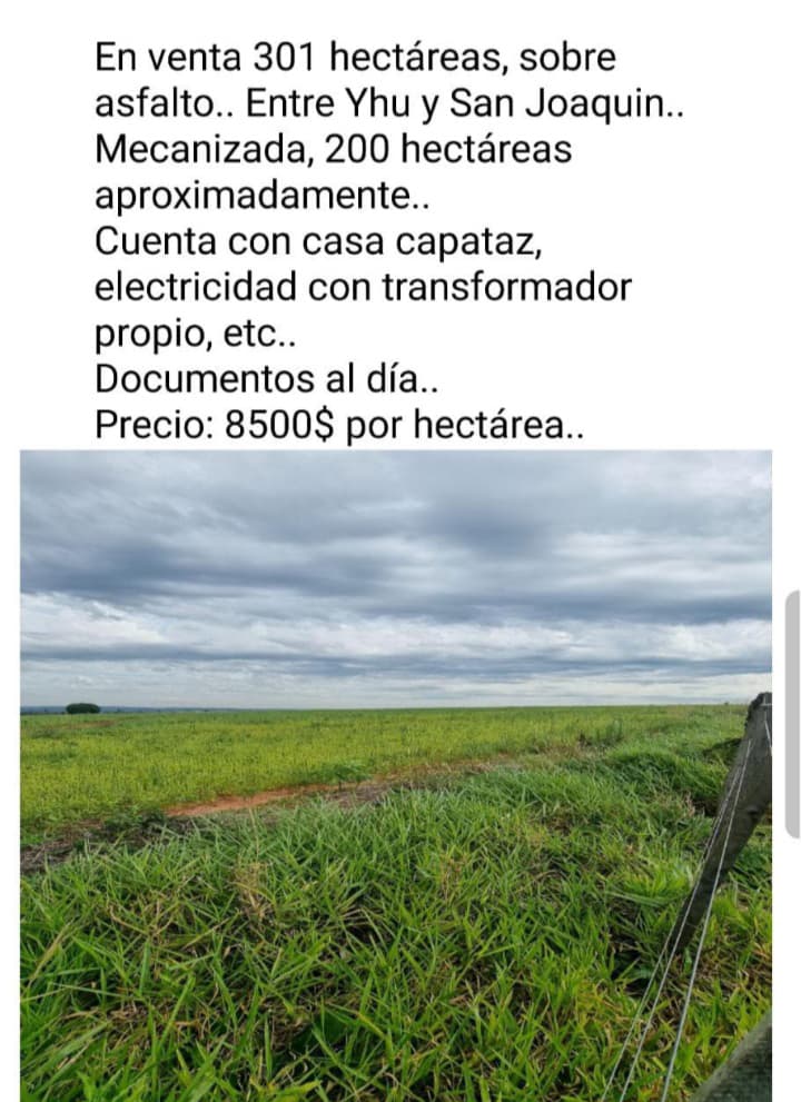 🌾 Propiedad Agrícola en Venta – Entre Yhú y San Joaquín | 301 Hectáreas