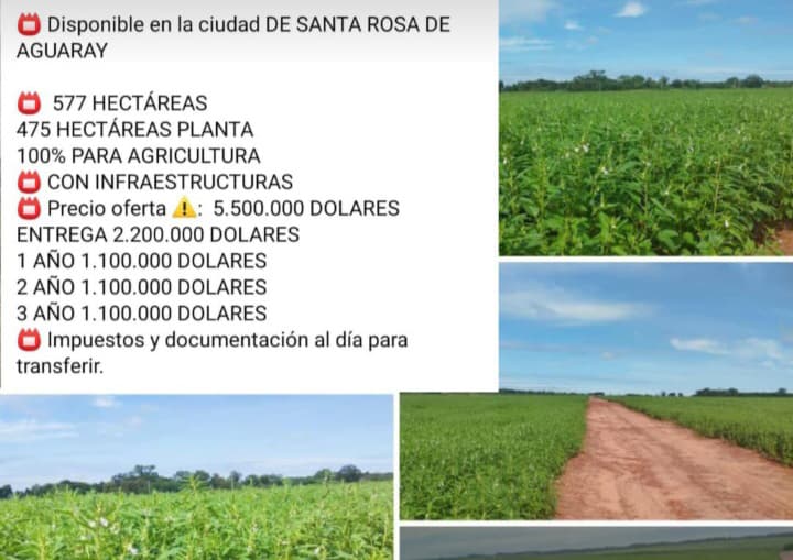🌾 Propiedad Agrícola en Venta – Santa Rosa del Aguaray | 577 Hectáreas
