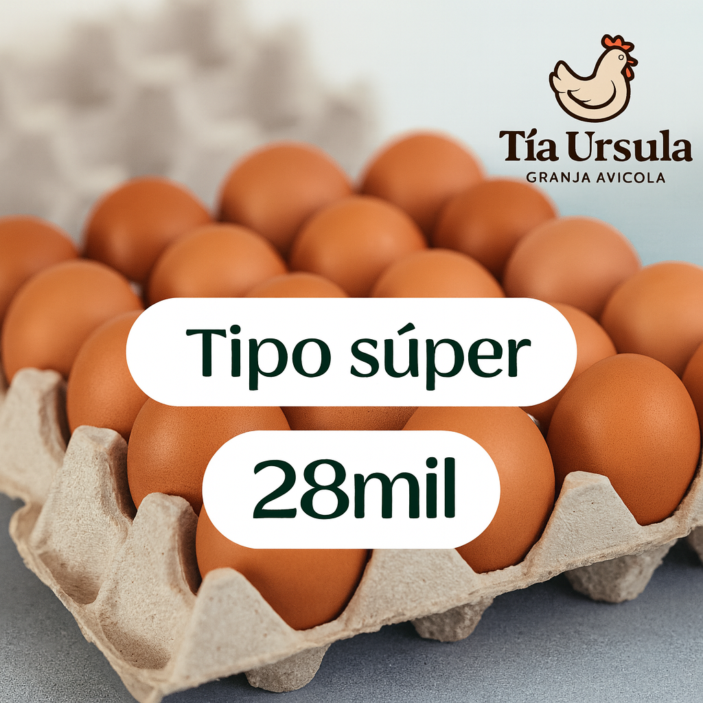 🥚 HUEVOS TIPO SÚPER – TÍA URSULA