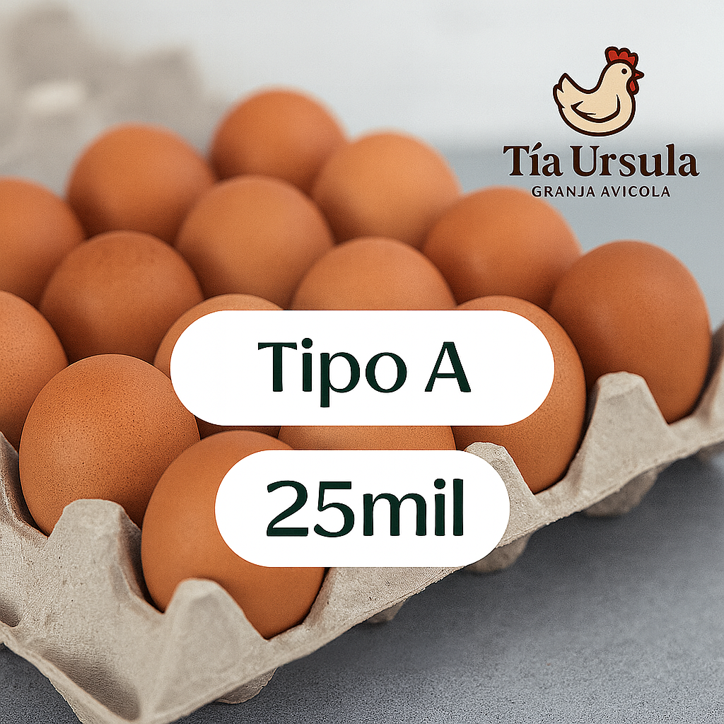 🥚 HUEVOS TIPO A – TÍA URSULA