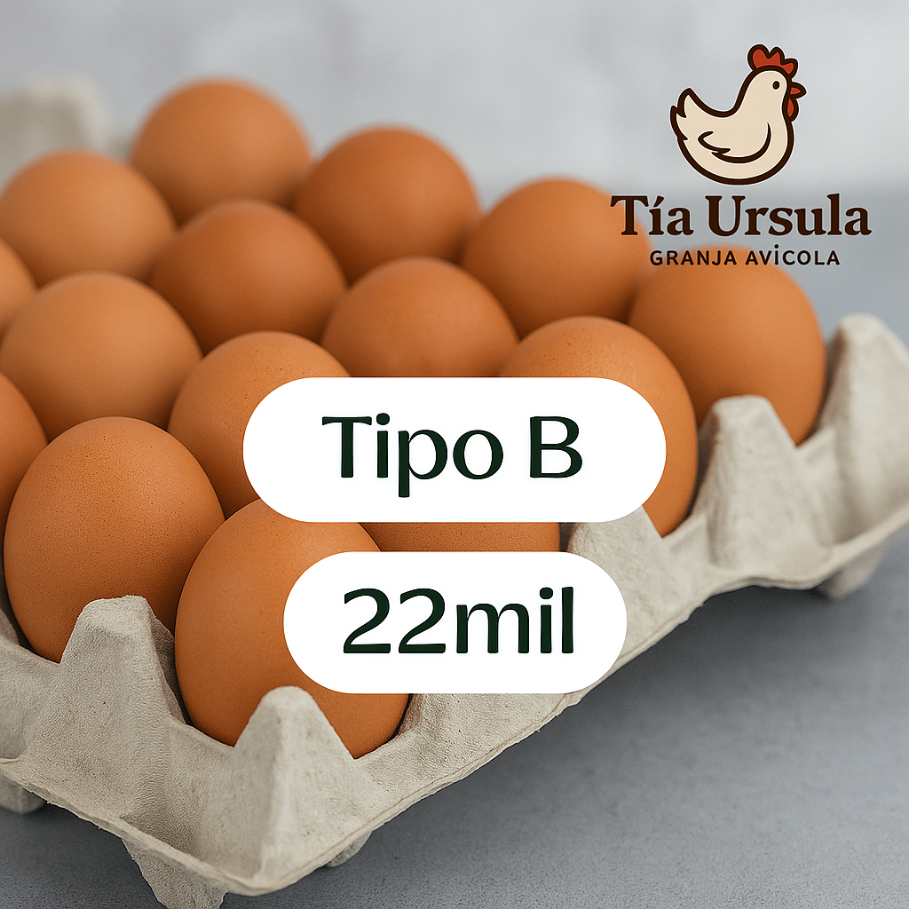 🥚 HUEVOS TIPO B – TÍA URSULA