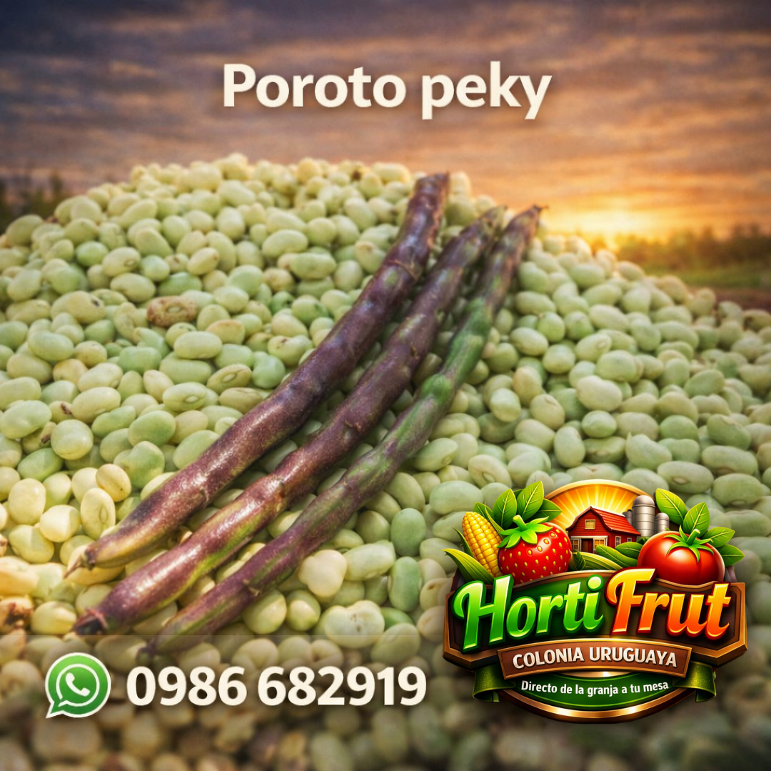 Poroto peky fresco – Tradición y sabor casero 🌱✨